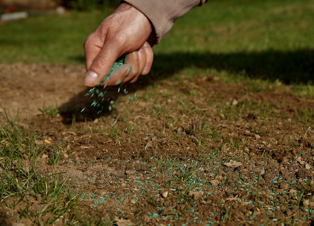 Lawn-Care-Tips-Overseeding-brown-patches