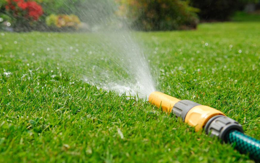How Water Restrictions Affect Lawn Care