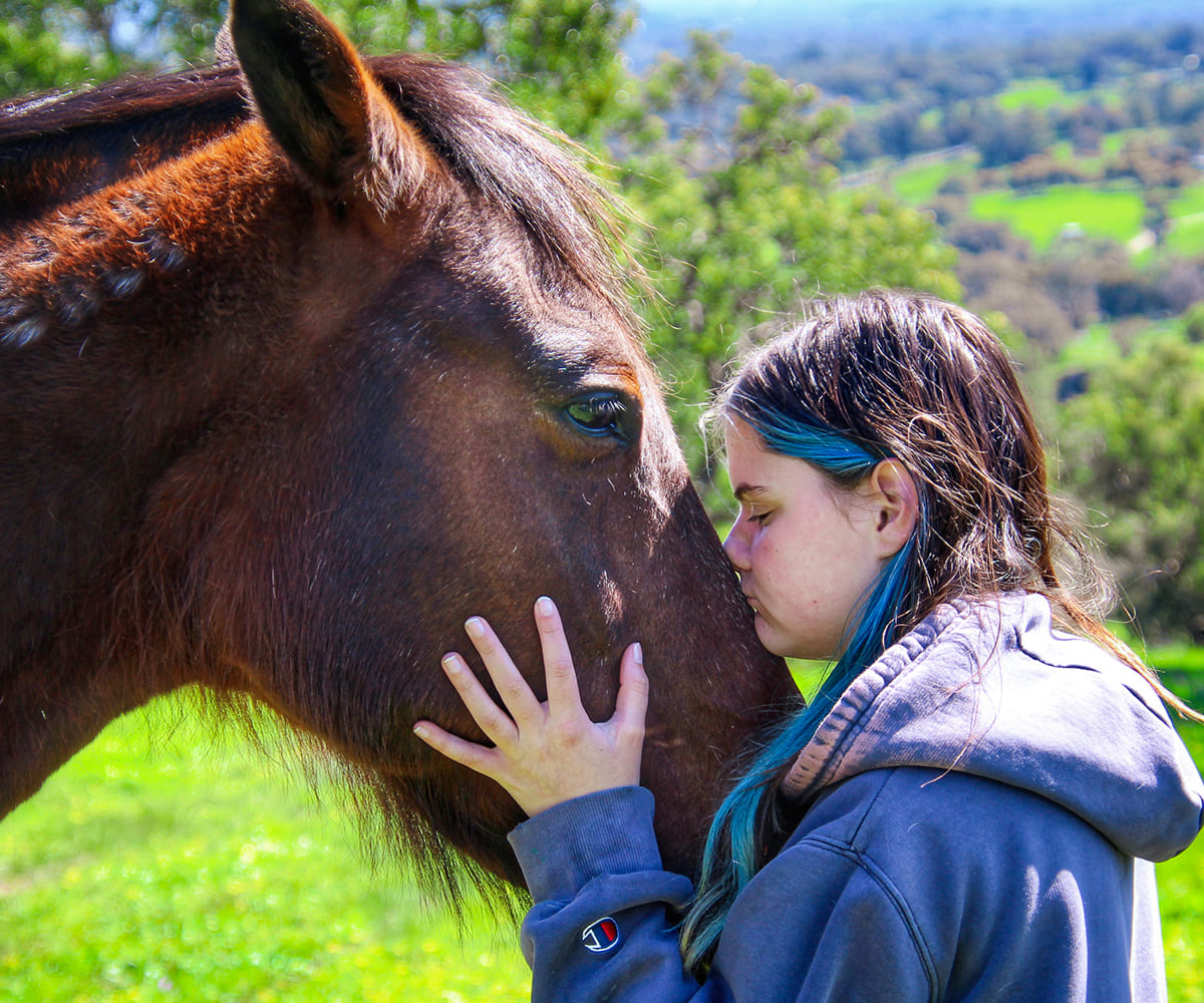 Should Students Be Interacting More with Animals? 