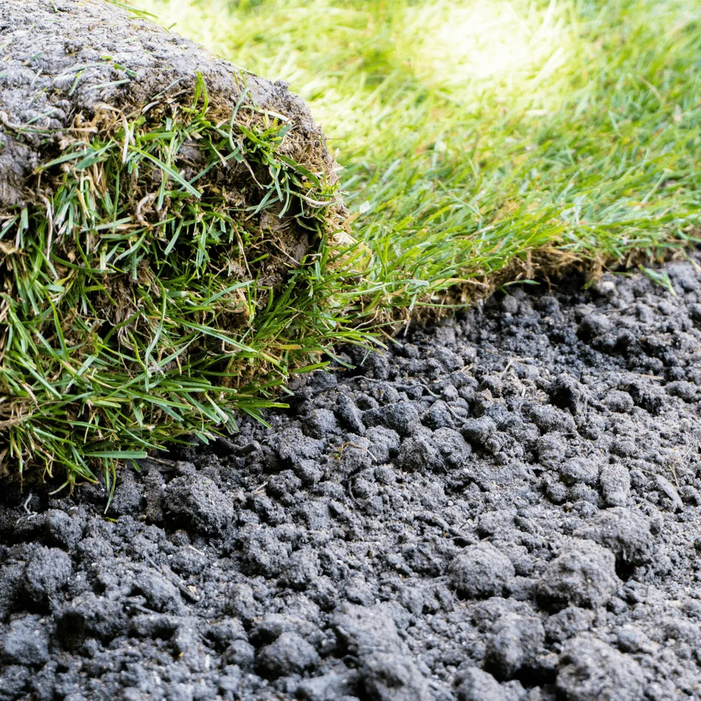 Lawn-Care-Tips-Setting-a-turf-on-soil