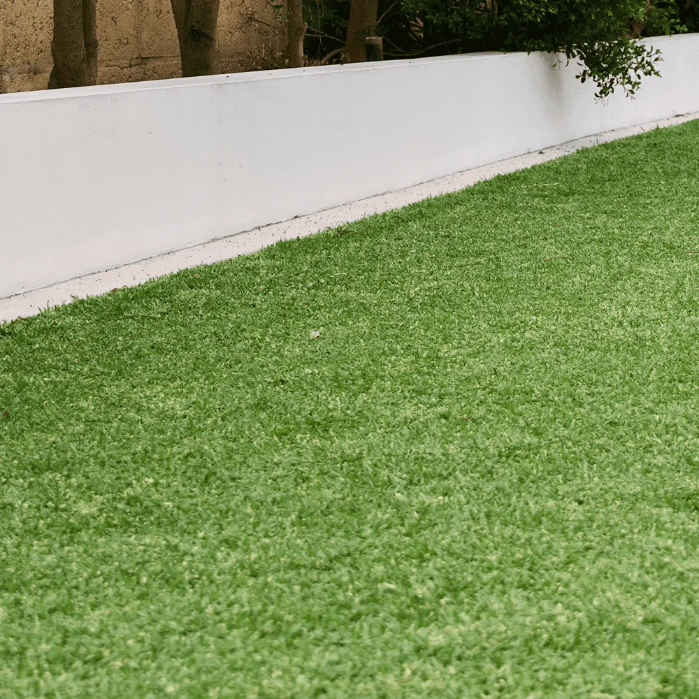 Australian-Lawn-Care-Green-lawn-with-small-trees-on-the-side