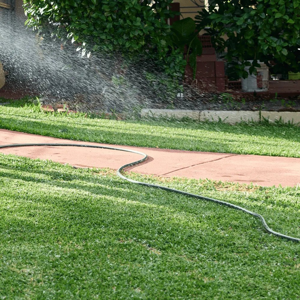 Australian-Lawn-Care-Watering-a-lawn-in-the-morning