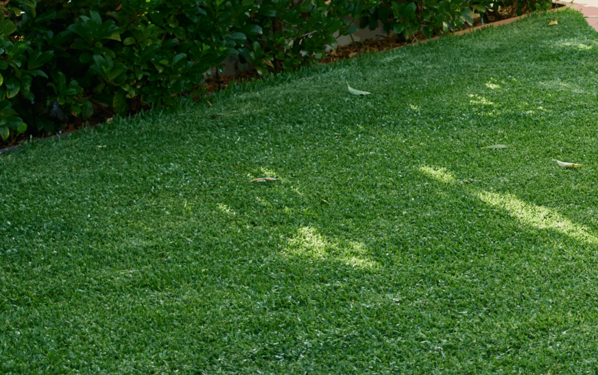 Does Your Lawn Need New Critters This Summer?  