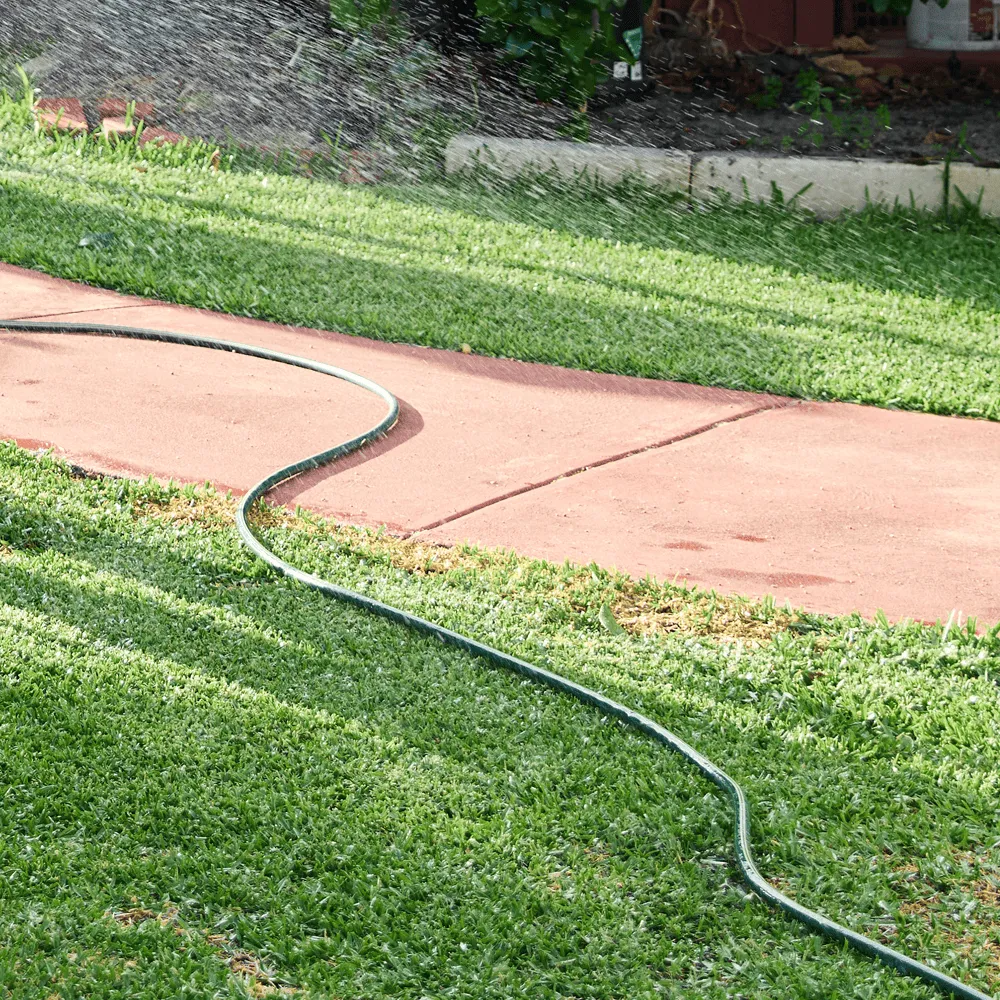 Australian-Lawn-Care-Lawn-being-watered-in-the-morning