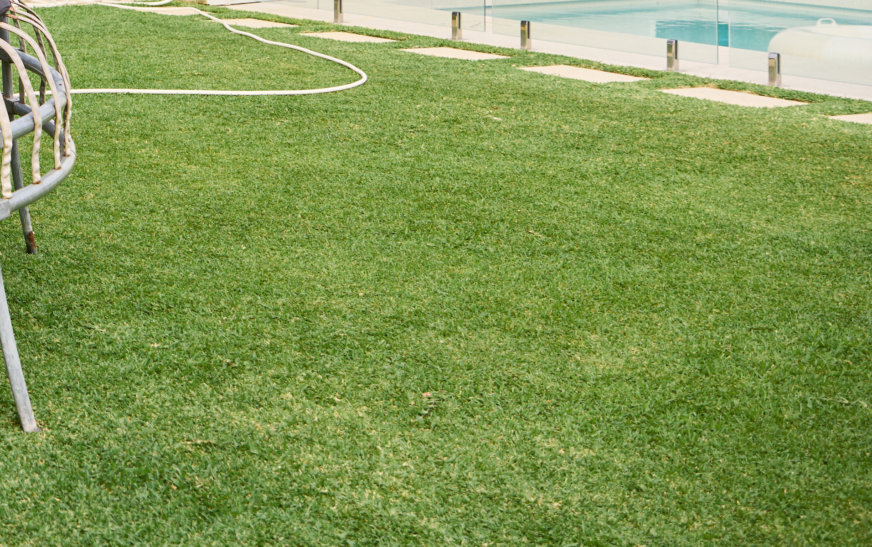 Australian-Lawn-Care-to keep a healthy lush lawn in Autumn