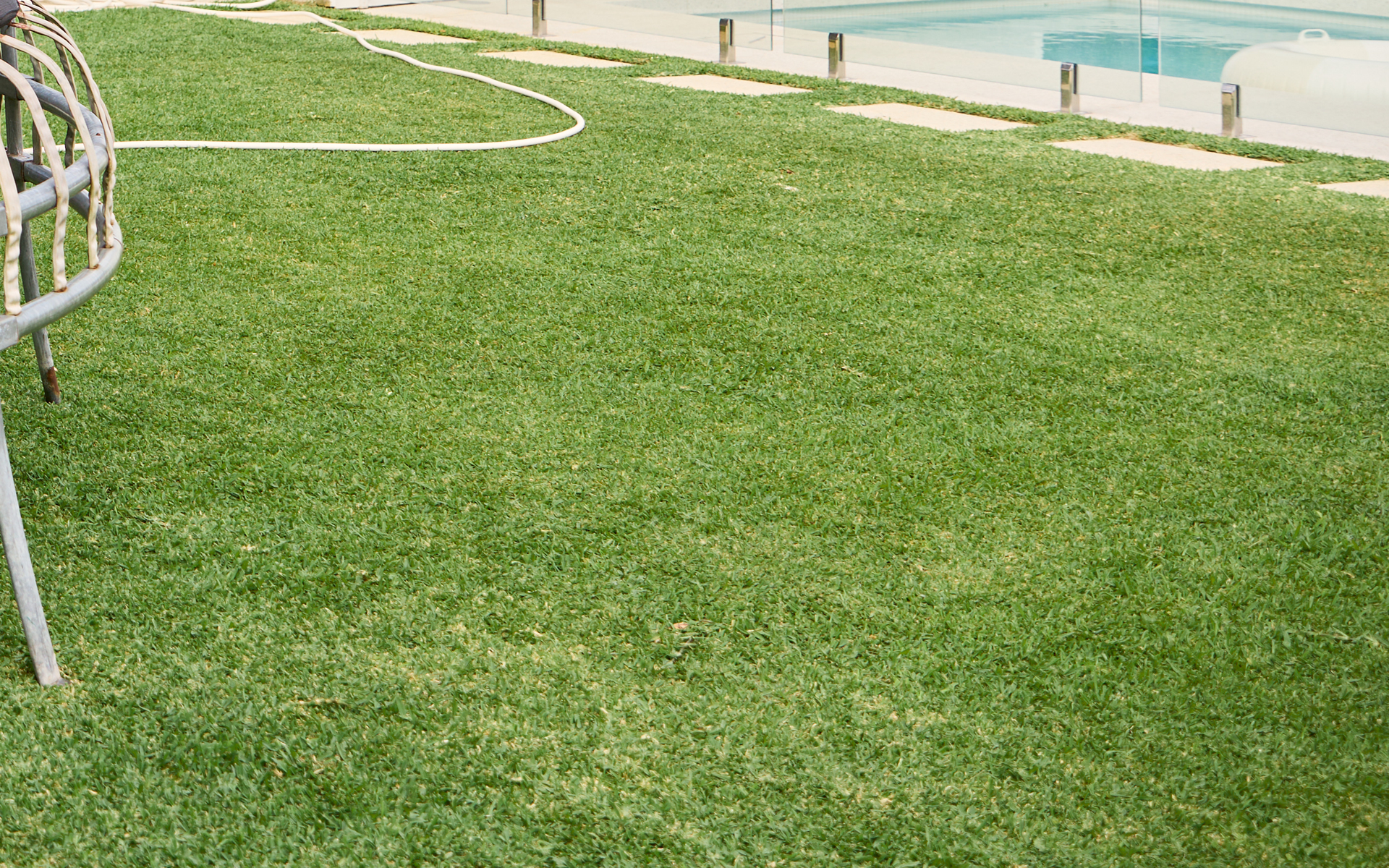 Why Summer to Autumn Lawn Transitions Can be Challenging  