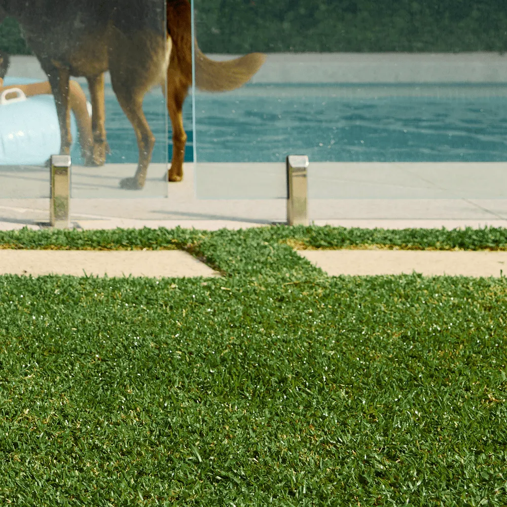 Australian-Lawn-Care-Lawn-view-near-a-pool