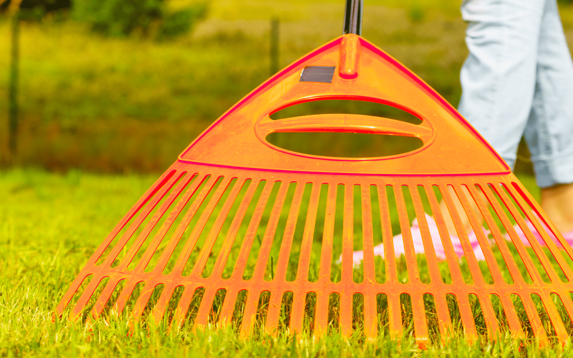 Autumn Lawn Care Best Practices 