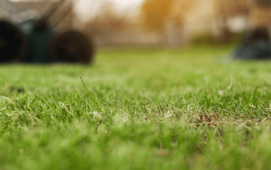 When to Aerate Your Lawn During Winter 