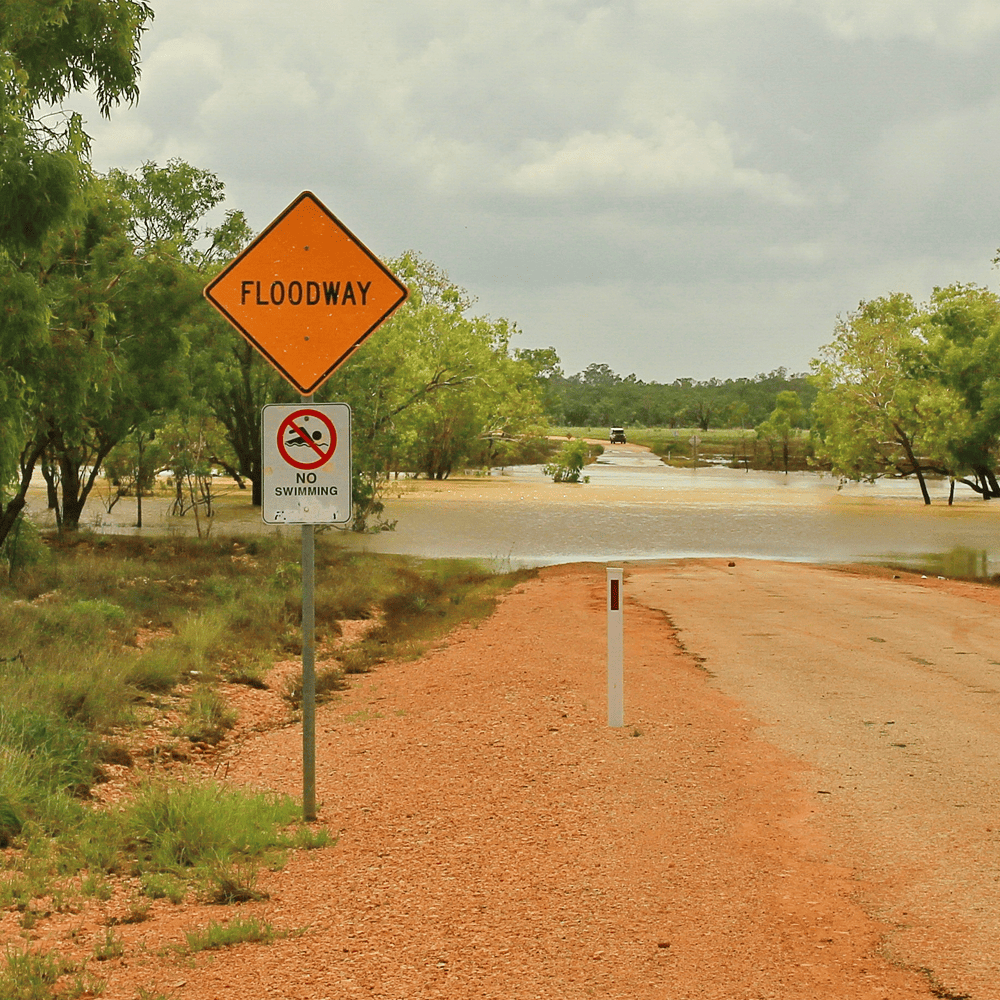 Why Signs Should Survive Any Season 