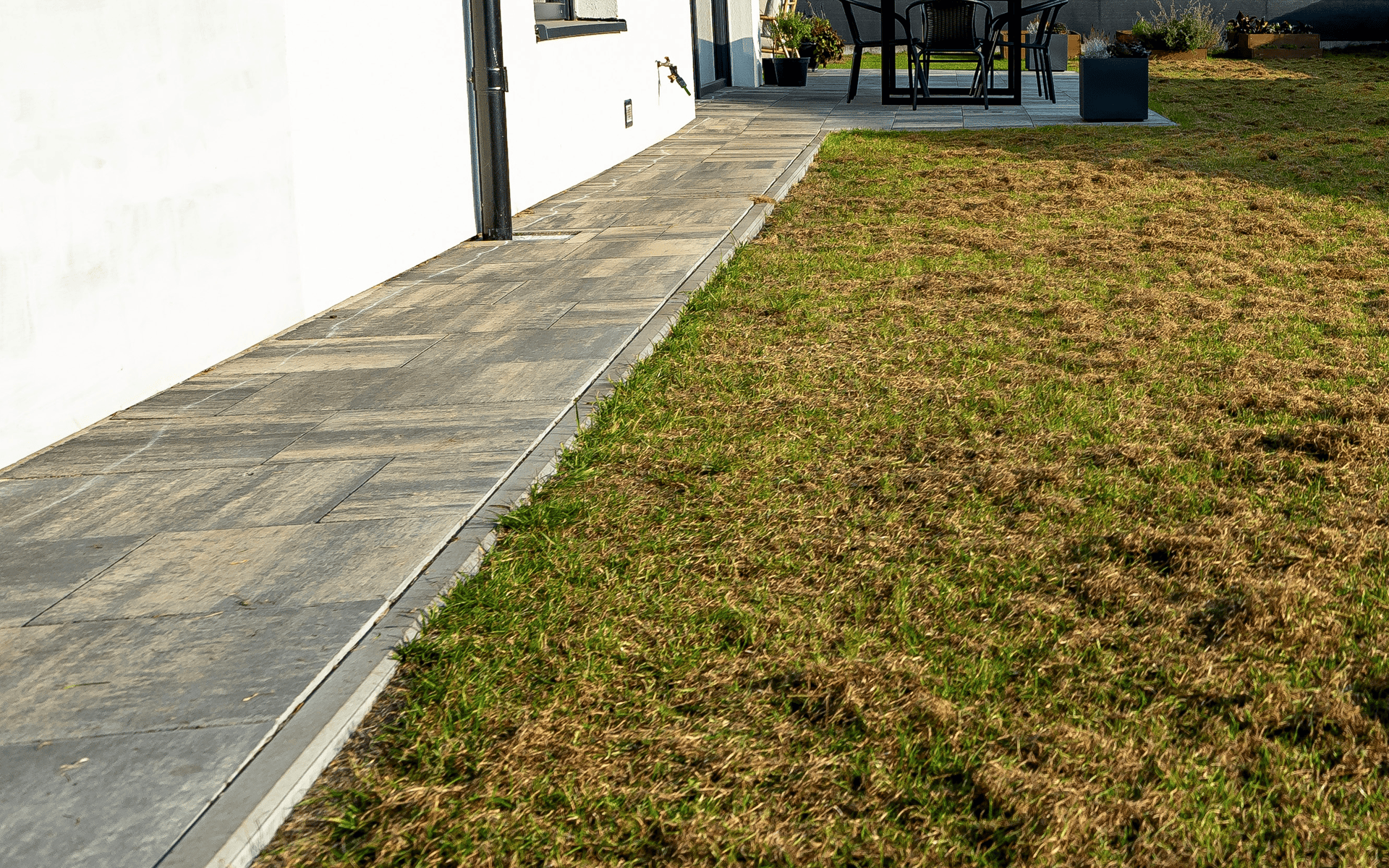 Why Spring Weeds are a Problem for Australian Lawns 